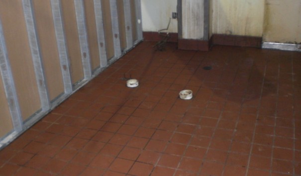 Restaurant Back in Business – Bethlehem Brew Works