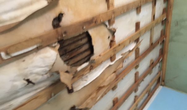 Part of Roof Stripped Away