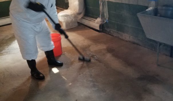 Cityline Called for Oil Spill