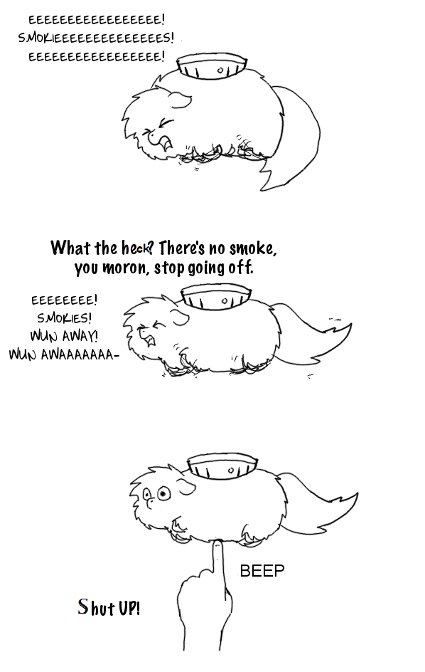 Smoke Detector Safety: Kitchen Edition